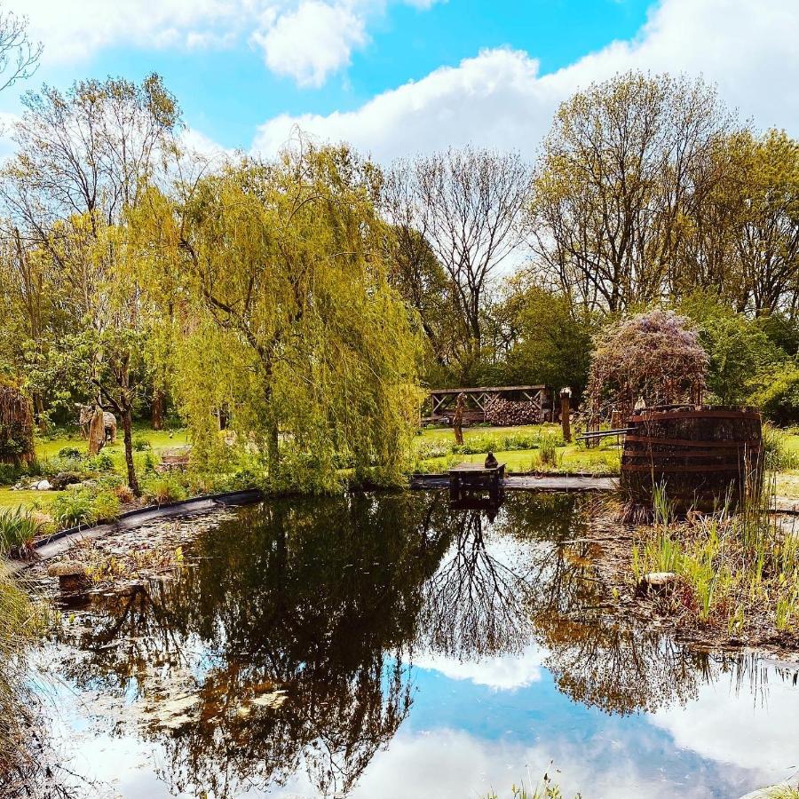 アムステルダム Reijgershof Bed & Breakfast エクステリア 写真