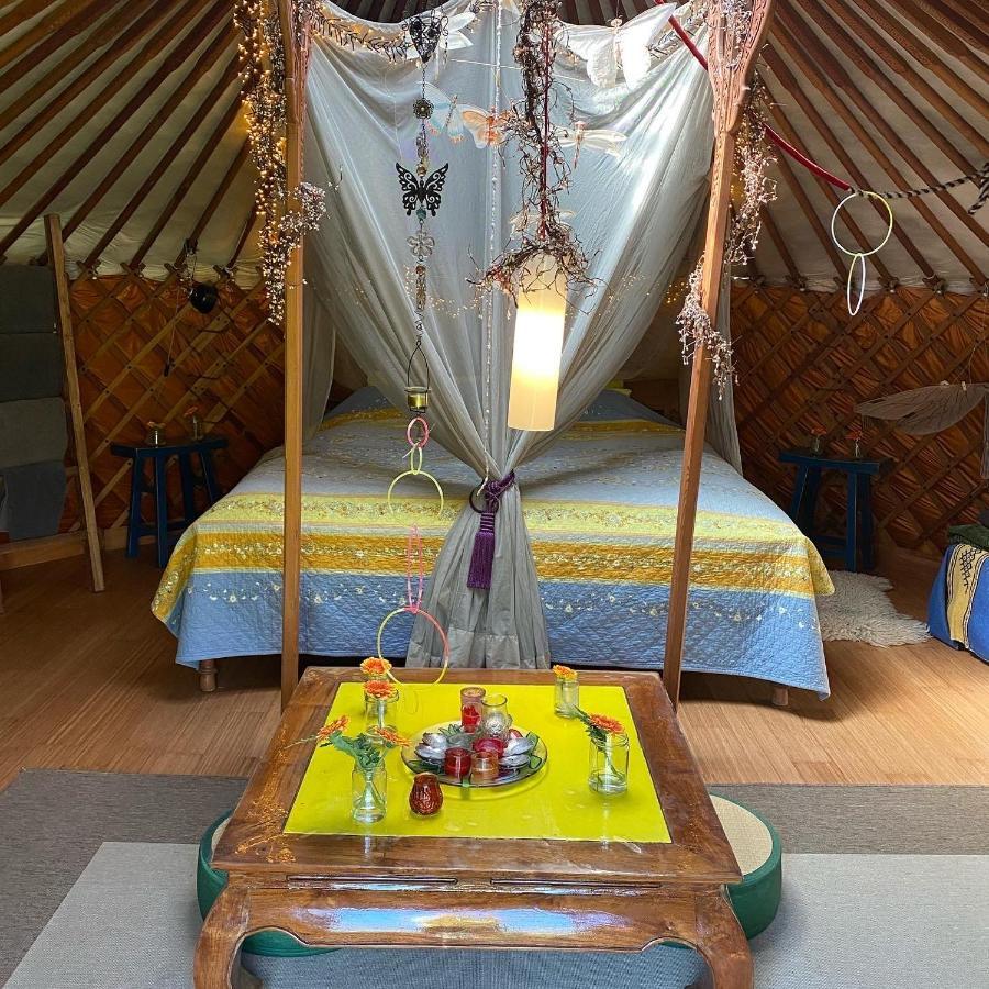 アムステルダム Reijgershof Bed & Breakfast エクステリア 写真