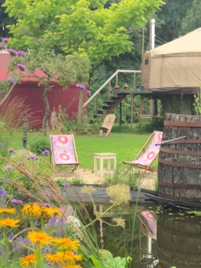 アムステルダム Reijgershof Bed & Breakfast エクステリア 写真